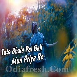 Tate Bhala Pai Gali Mun Priya Re - Sambalpuri Song